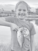 Fish Tales