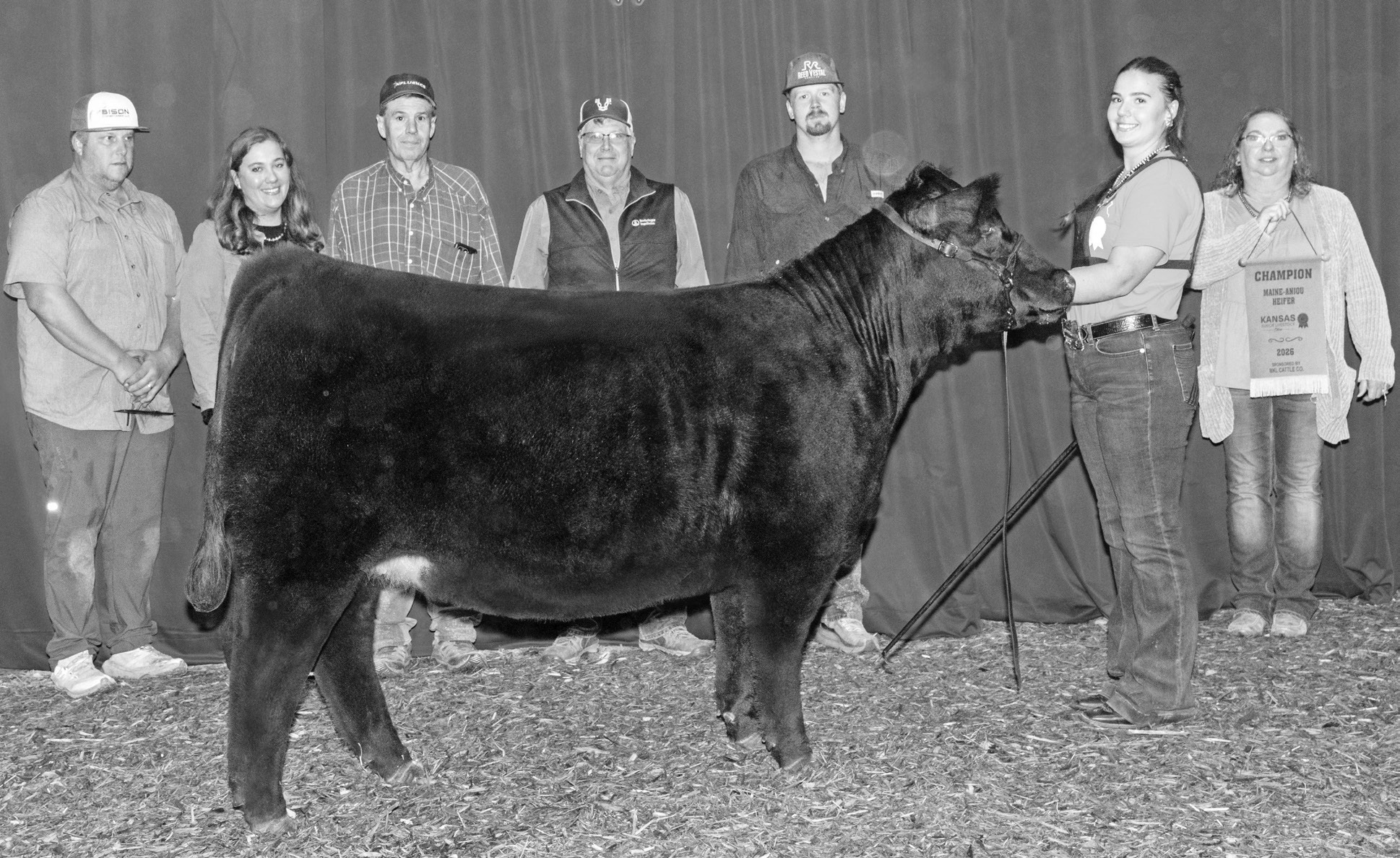 Cassidy Dalquest of Wilsey exhibited the Champion Maine-Anjou heifer at the Kansas Jr. Livestock Show in Hutchinson. The 94th annual event was held October 2nd through 4th and is one of the largest livestock shows in Kansas with 2,236 entries from 887 exhibitors from across the state.