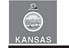 Alt Text for Image