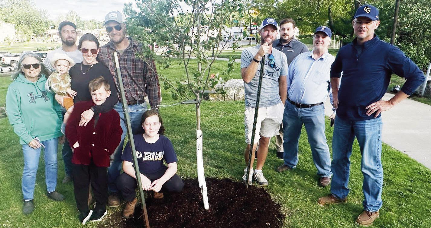 PLANT TREE IN HONOR OF ARBOR DAY