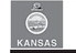 Alt Text for Image