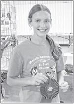 2024 Morris County Fair