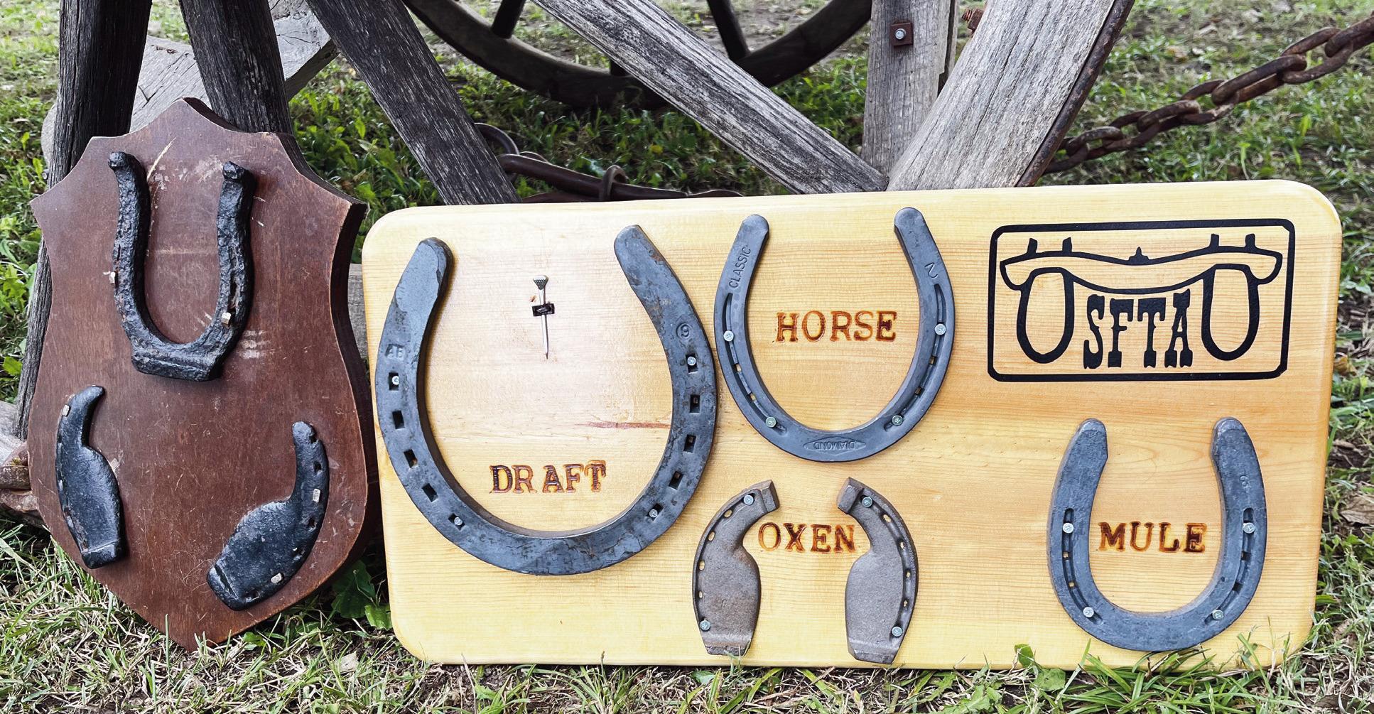 VARIOUS SHOE SIZES DISPLAYED 