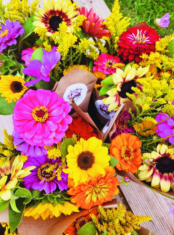 Bloom Wagon Farm expands floral offerings in second season