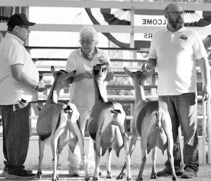 STATE FAIR CHAMPIONS