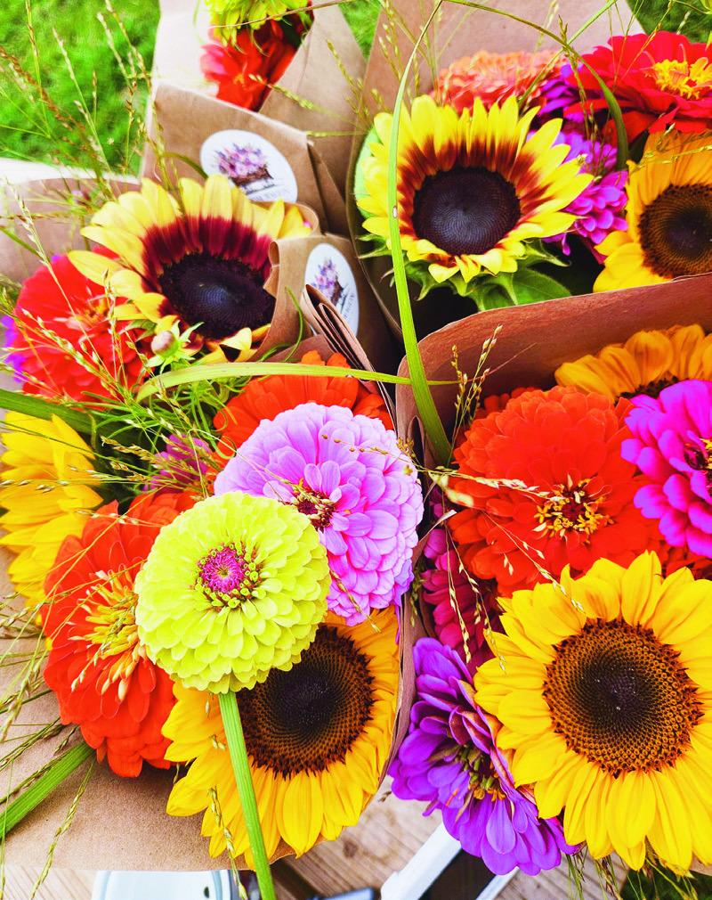 Bloom Wagon Farms To Hold Event Saturday To Bless AWANA