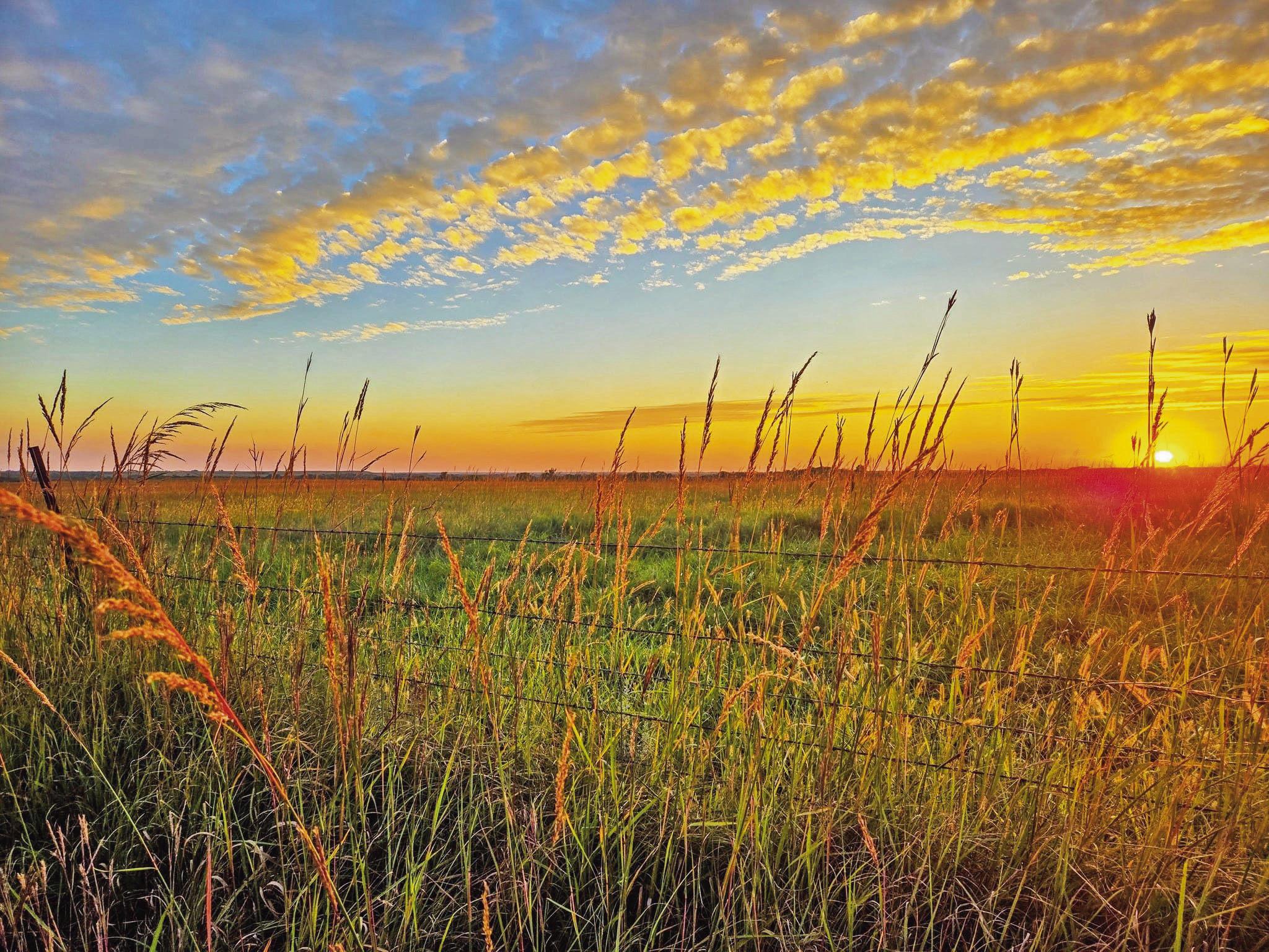 Shawn Wangerin, of Council Grove, was in the vicinity of Four Mile when he captured the above photo. He said he had gone to the area to look for the comet after sunset but had no luck. Wangerin said he was “primarily enjoying the sun kissed tall grass a