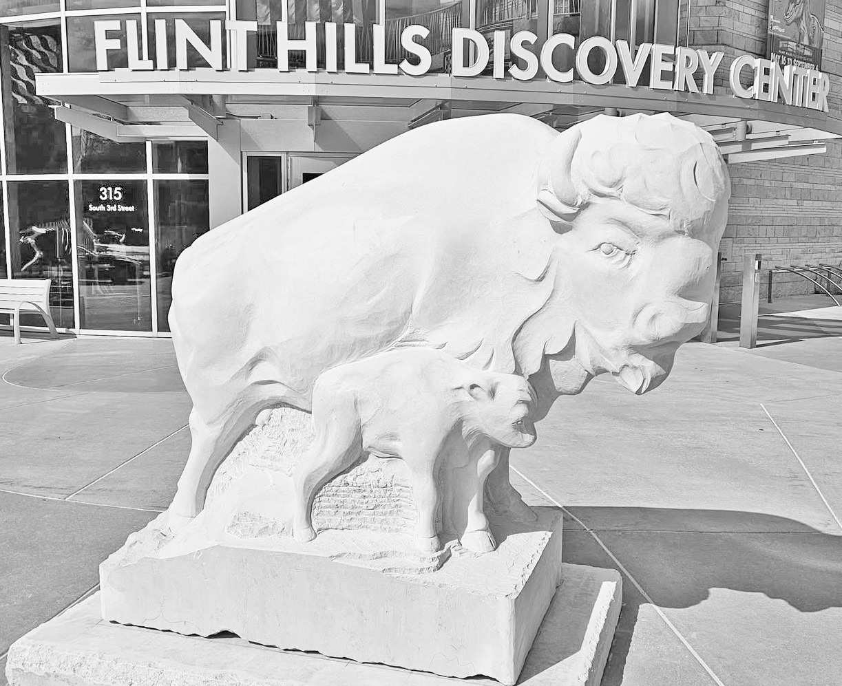 Vigilance, a new large-scale public sculpture by Kansas artist Alan Tollakson, stands outside the main entrance of the Flint Hills Discovery Center in Manhattan. Carved from Flint Hills limestone, the sculpture depicts a bison cow standing watch over her newborn calf and was created in Strong City, where travelers along K-177 could watch it take shape. The sculpture is featured in an article on page 1.