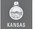Alt Text for Image