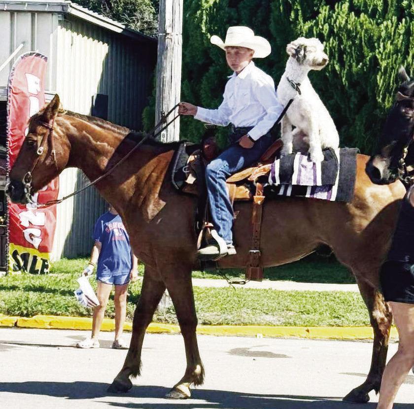 EVERYONE LOVES A PARADE . . .