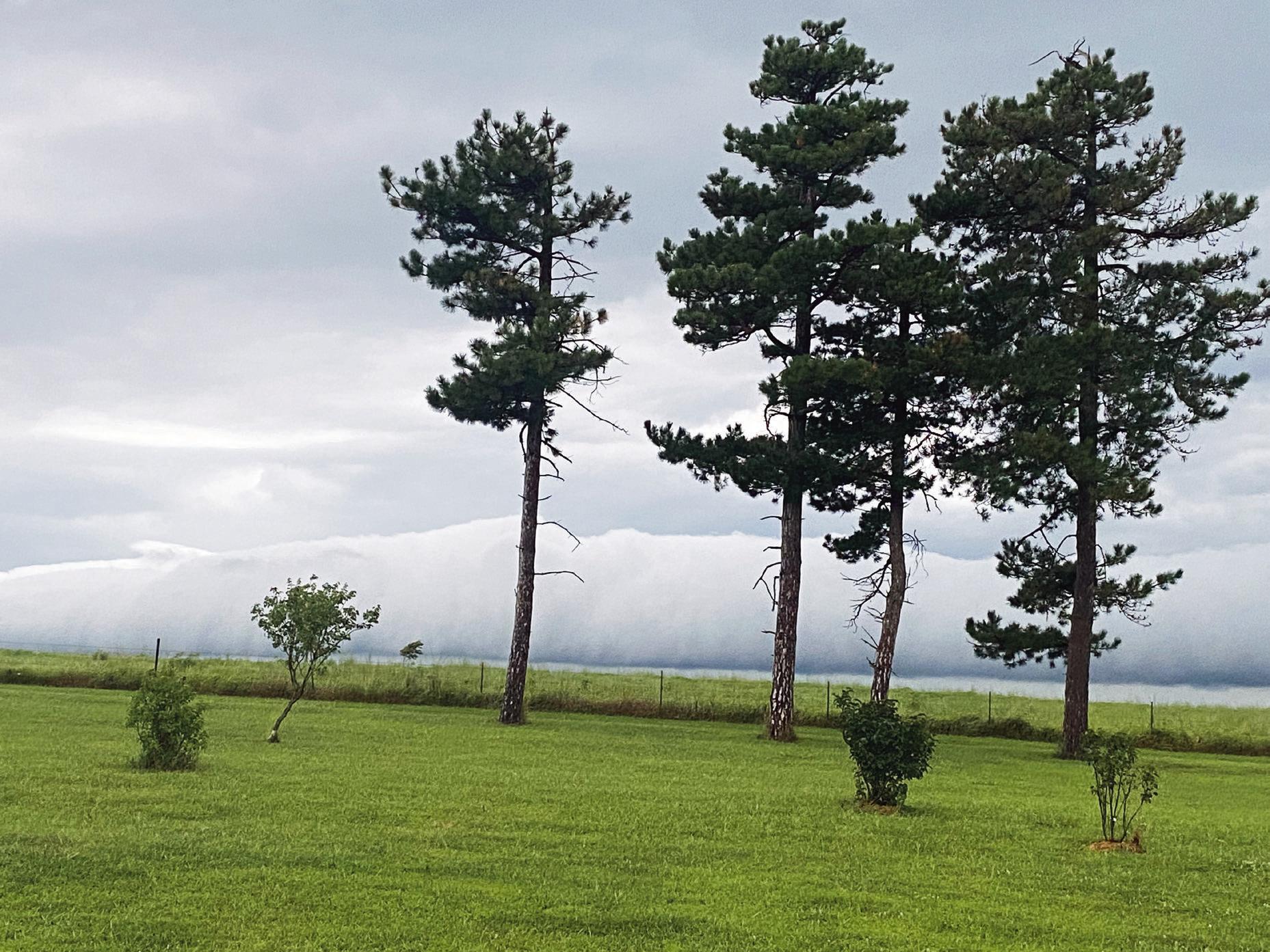 Steve Tiffany, of rural Council Grove, captured this unusual cloud bank near the Morris and Lyon County lines at 7:00 p.m. on Saturday, August 9.