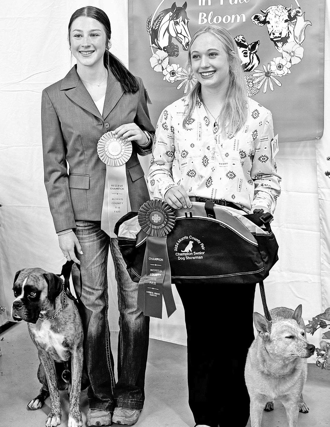 DOG SHOW CHAMPIONS