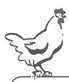 Alt Text for Image