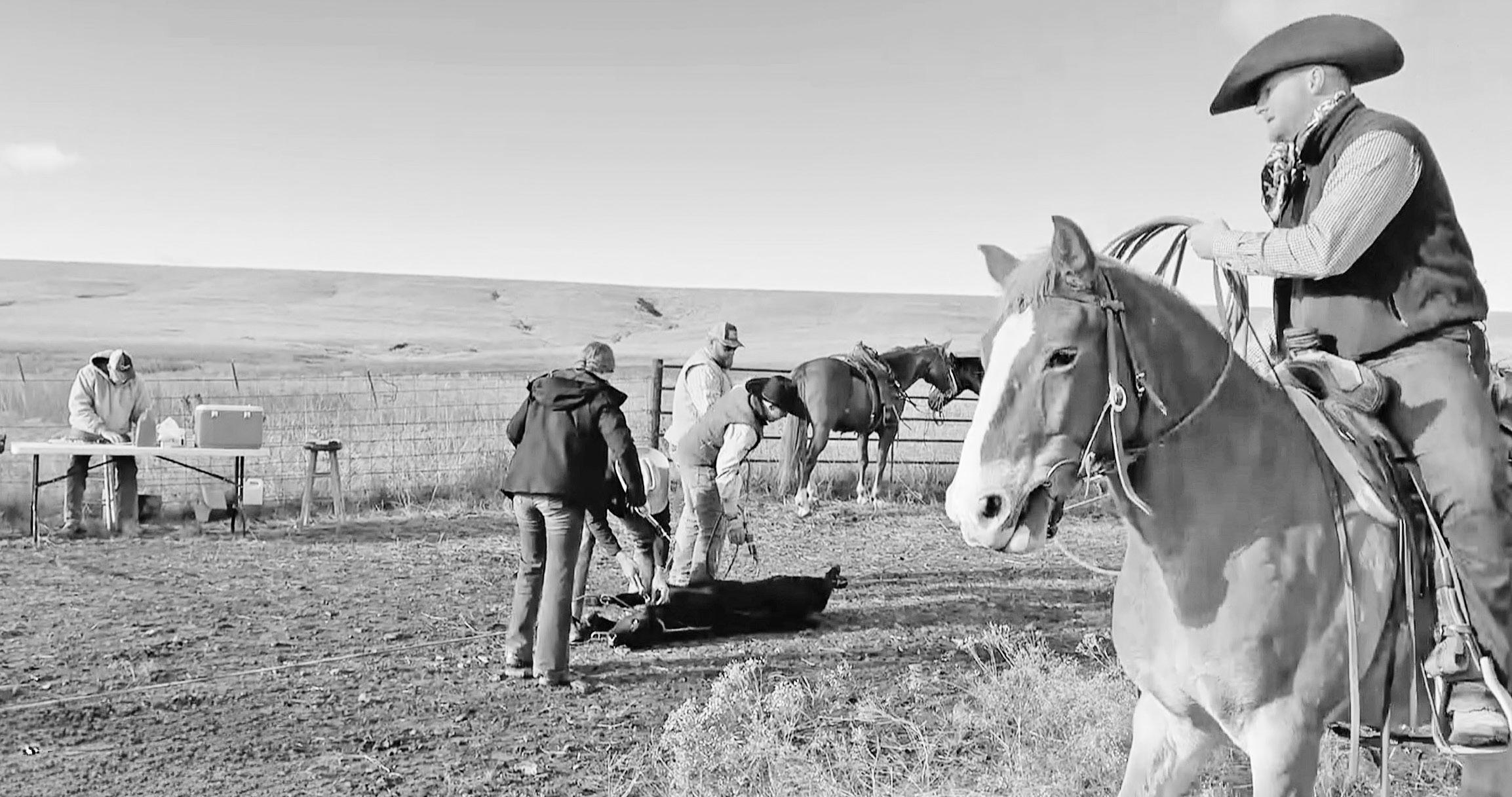 Working the ranch: in the “Oasis on the Prairie” Documentary, Cade Burden can be seen as the calf roper. Three generations of Perriers are behind him with Grandpa Tom at the table in the distance, his son Matt and his kids Hannah and Henry near the ca