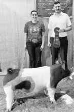 Grand Champion Market Hog • Cassidy Dalquest