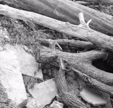 IRRESPONSIBLE LOGGING PROCEDURES . . . have caused headaches for the road and bridge workers in the Morris County Public Works Department. Note: the saw-cut walnut limb that was left behind, only to become part of the problem downstream after our recent r