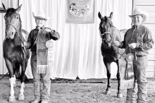 CHAMPION HALTER HORSE
