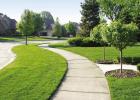 How to keep your lawn looking green