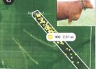 The above photo is a screenshot from a phone, showing a virtual fence boundary created by technology. Each dot represents a cow wearing a collar. In this example 100 cattle are in the unfenced 2.01 acreage area.