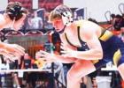 State Ranked Wrestlers