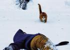 Snow Day Play