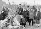 PLANT TREE FOR ARBOR DAY