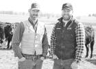 Oleen Brothers Build On Cattle, Colt Sale Reputation For Three Generations