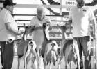 STATE FAIR CHAMPIONS