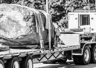Kaw Nation’s Sacred Rock Iⁿ‘zhúje ‘Waxóbe Moves To Allegawaho Today