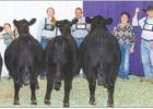 RESERVE GRAND CHAMPION BULL
