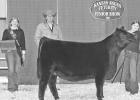 GRAND CHAMPION -- Hurlbuts Georgina 2170 won grand champion phenotype and genotype female at the 2023 Kansas Angus Futurity Junior Show, Jan. 21-22 in Hutchinson. Tayle Black, Council Grove, owns the December 2021 daughter of Stevenson Turning Point. She GRAND CHAMPION