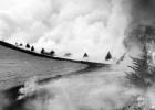 An eastern red cedar catches fire. Controlled fires, such as this one on grassland managed by Kansas State University scientists, are needed to save prairies from becoming woodland and shrubland. A ‘Green Glacier’ Of Trees And Shrubs Is Burying Prairies, Threatening Ranchers And Wildlife
