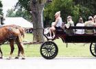Council Grove Celebrates 200 Years